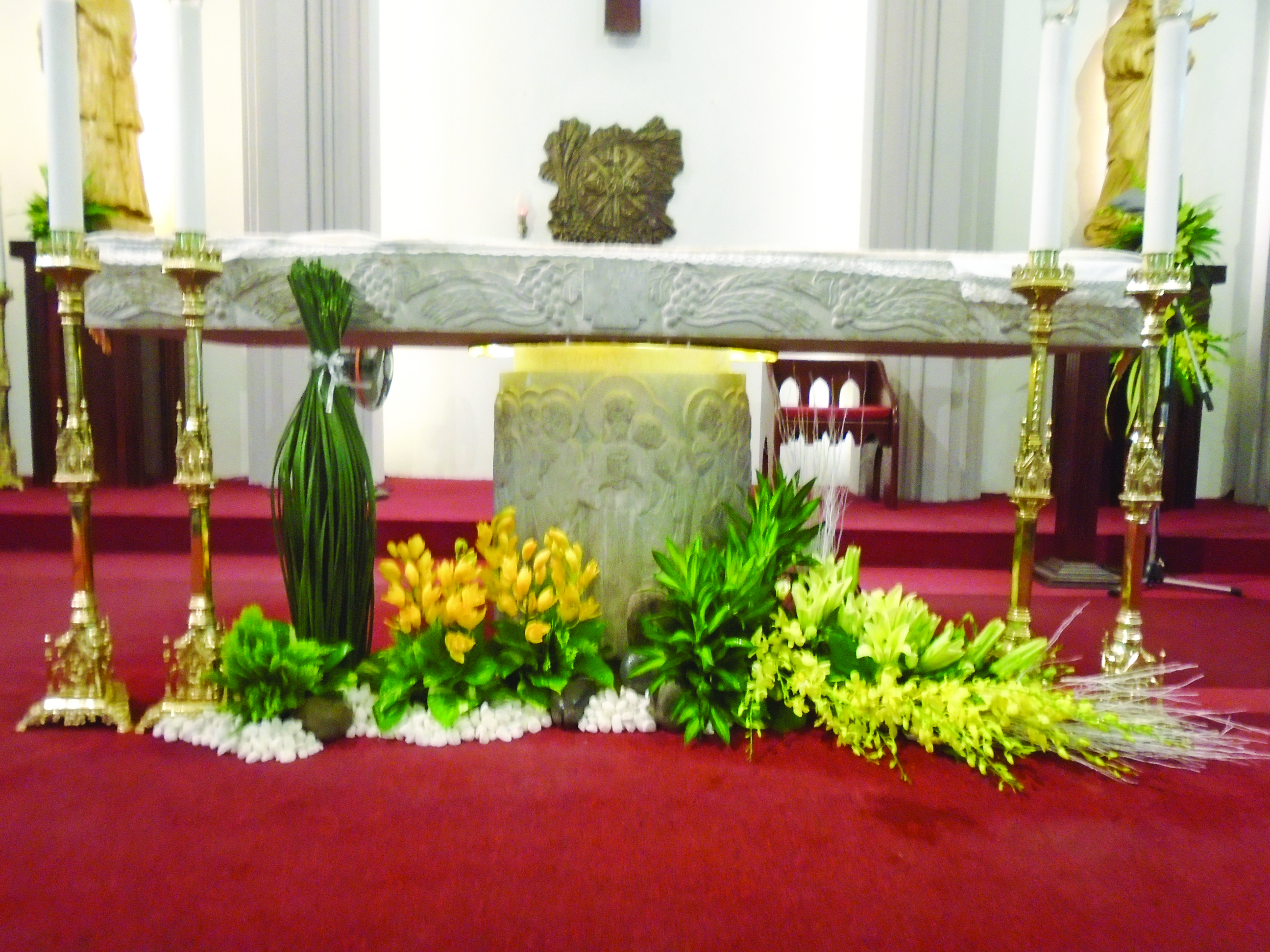 Vườn nghệ thuật 1