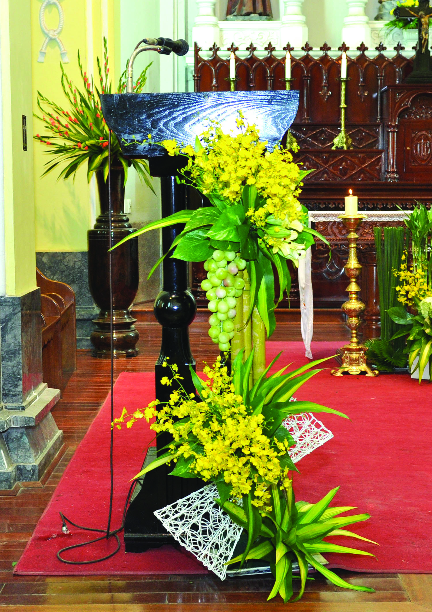 Vườn nghệ thuật 3