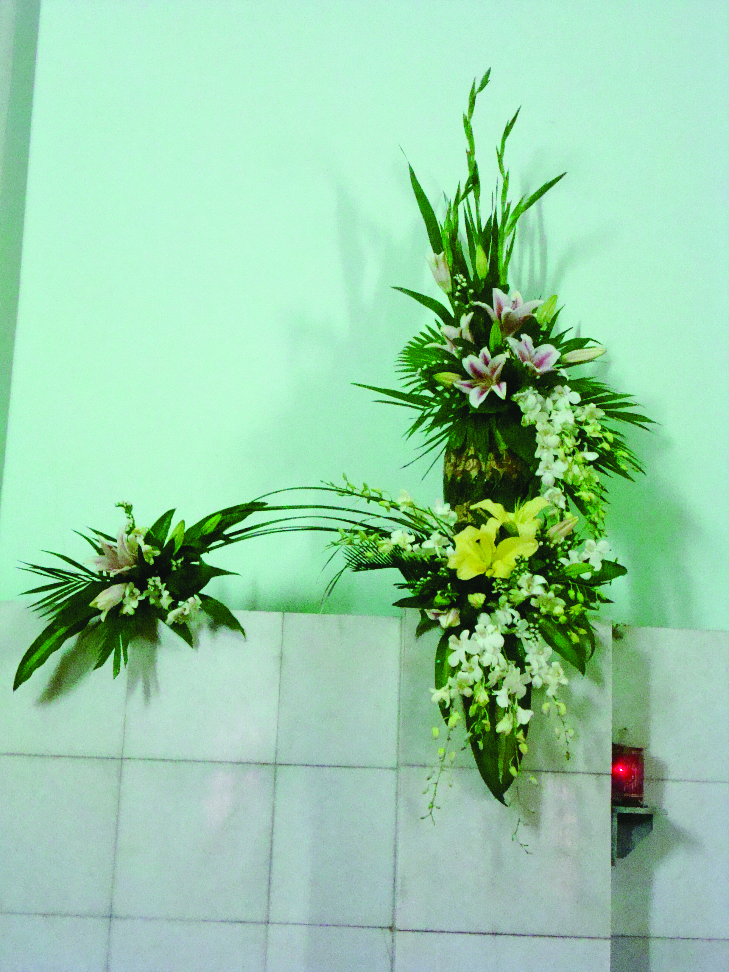 Vườn nghệ thuật 5